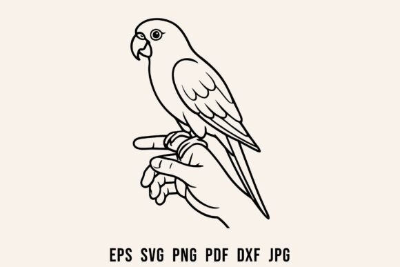 Reviewing Pet Bird Parrot Hand Perch Clipart